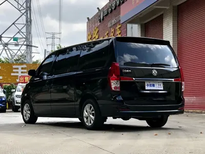 Fengxing Lingzhi PLUS