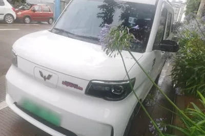 Wuling Zhiguang New Energy