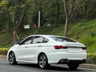 Geely Binrui