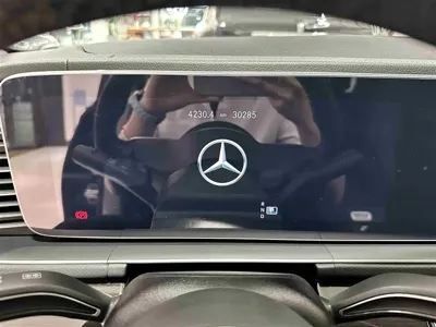 Mercedes-Benz 奔驰GLE(进口)