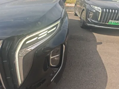 Hongqi HS7 PHEV