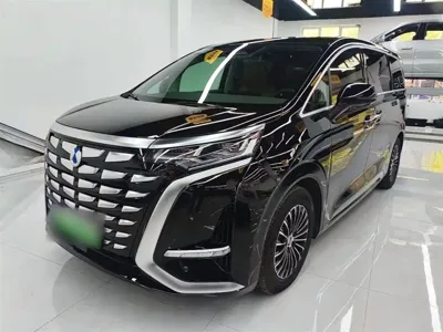 Denza Denza D9