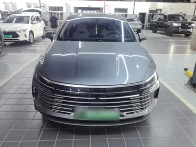 BYD Destroyer 05