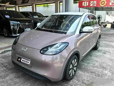 Wuling Bingo
