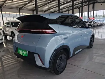 BYD Seagull