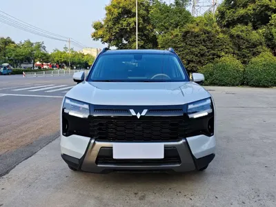 Wuling 星光560