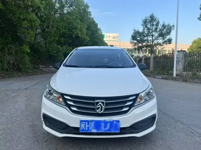 Baojun 310W