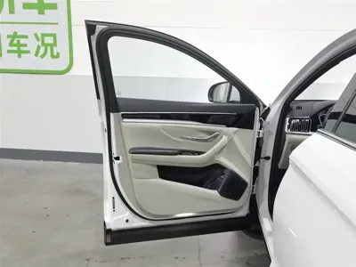 BYD PLUS New Energy