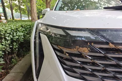 Geely Auto FX11