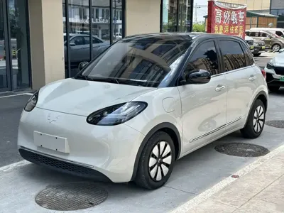 Wuling Bingo