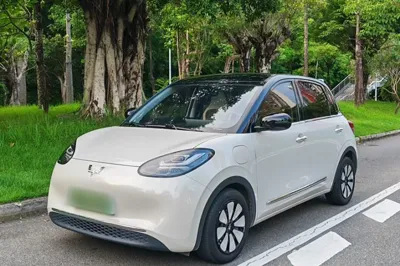 Wuling Bingo