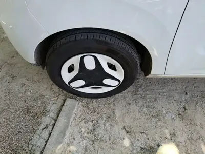Galaxy Panda