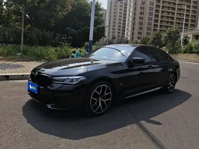 BMW 5 Series (Import)