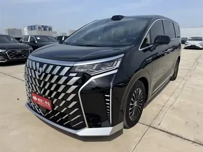 Denza Denza D9