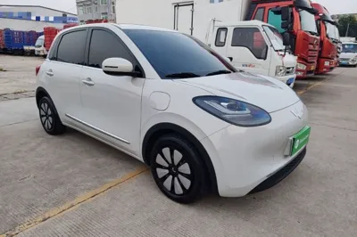 Wuling Bingo