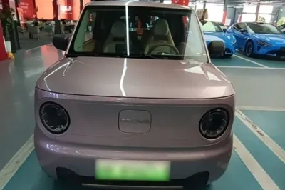 Geely Galaxy Panda