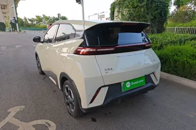 BYD Seagull