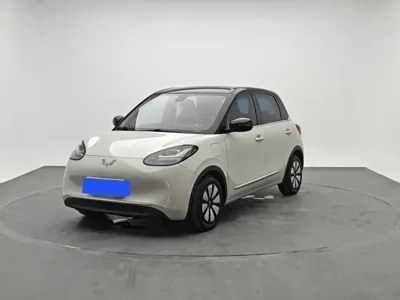 Wuling Bingo