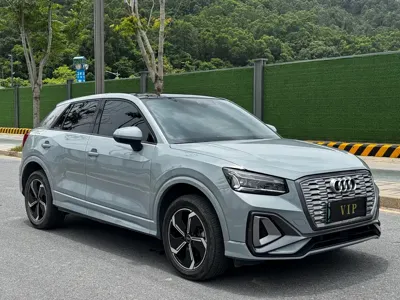 Audi Q2L e-tron