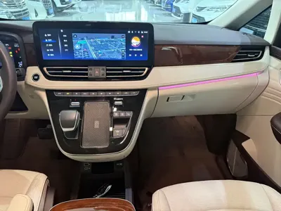 Hongqi Hongqi HQ9