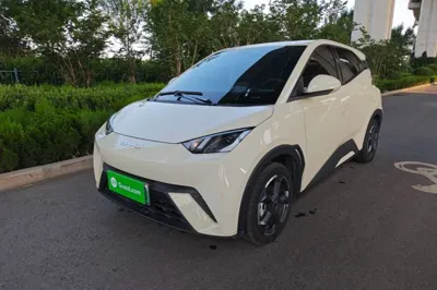 BYD Seagull
