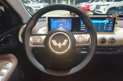 Wuling Bingo