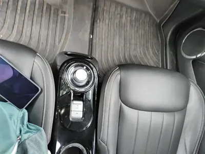 Wuling Bingo