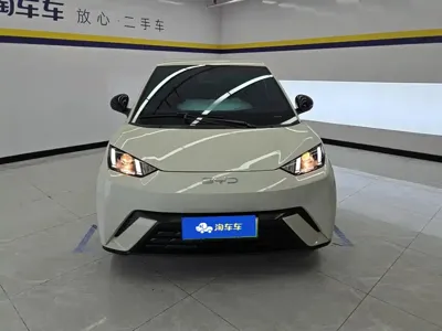 BYD Seagull