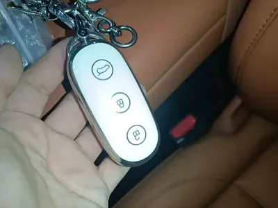 Li Auto Li L7