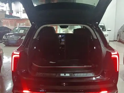 Hongqi Hongqi E-HS9