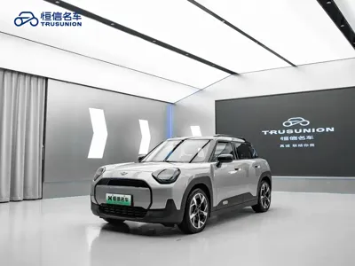 MINI MINI ACEMAN EV