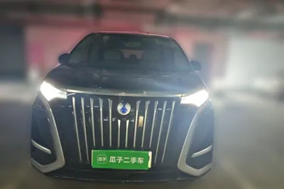 Denza D9