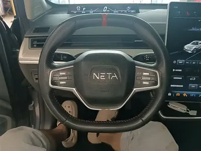 NETA Neta V