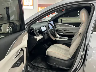 BYD Pro New Energy