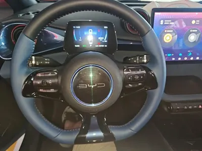 BYD Dolphin