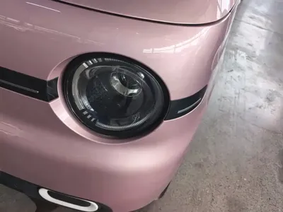 Galaxy Panda