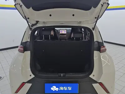 BYD Seagull