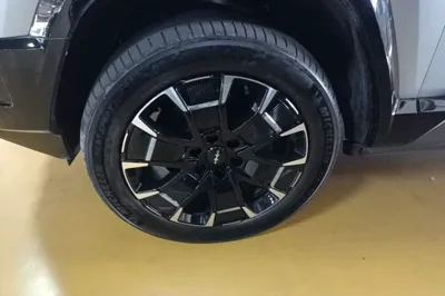 Formula Leopard Leopard 8