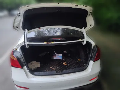 Hyundai Mistra