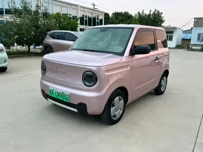 Galaxy Panda
