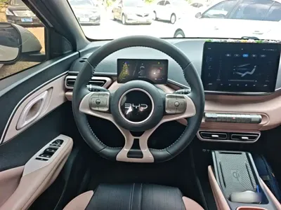BYD Seagull