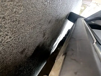 NETA Neta V
