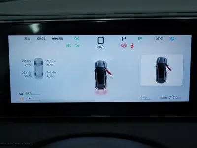 BYD 海狮06
