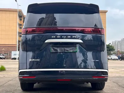 Denza Denza D9