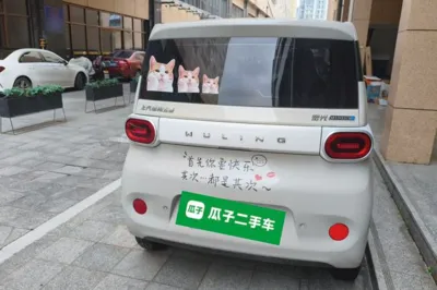 Wuling Hongguang MINIEV