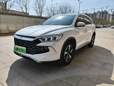 BYD Pro New Energy