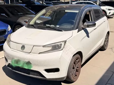 Dongfeng EV YOUNG Guang Xiaoxin