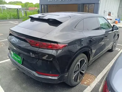 BYD L EV