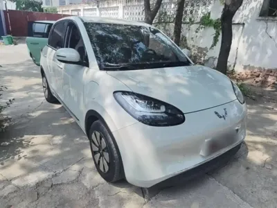 Wuling Bingo
