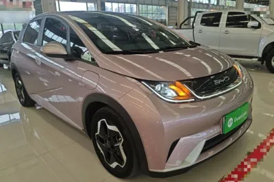 BYD Dolphin